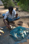 Pescando en el lago